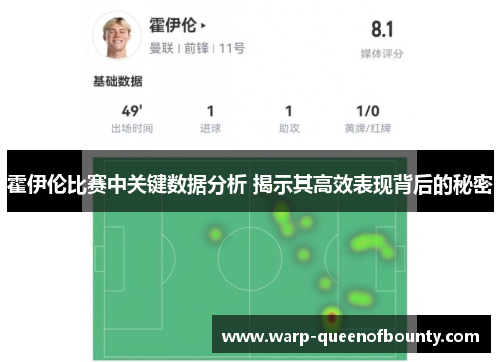 霍伊伦比赛中关键数据分析 揭示其高效表现背后的秘密